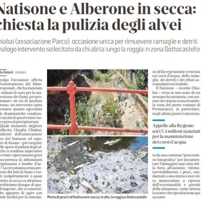 NATISONE E ALBERONE IN SECCA Chiesta la pulizia degli alvei.